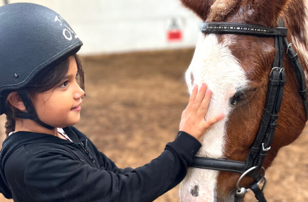 young girl stroking horse