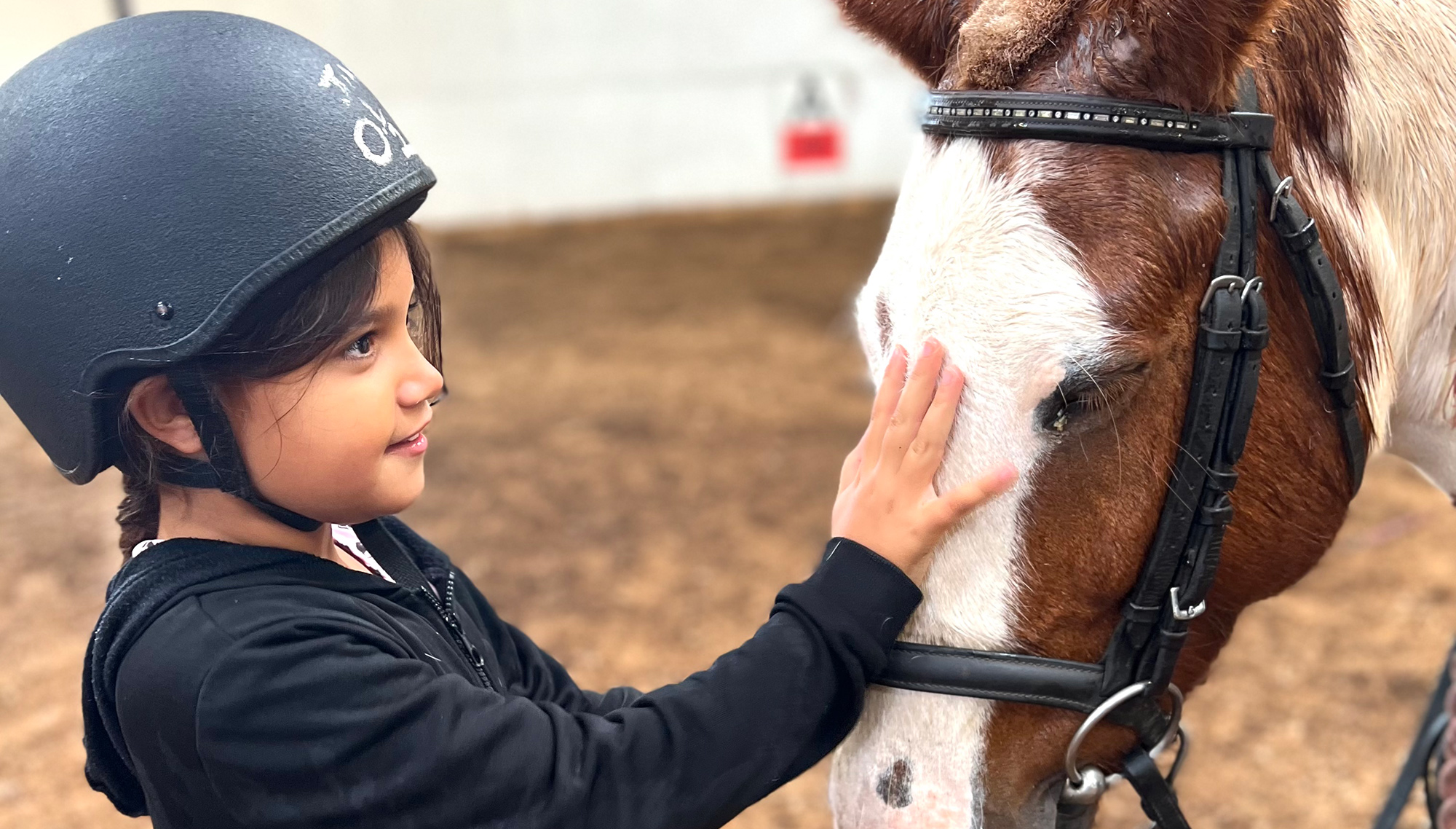young girl stroking horse